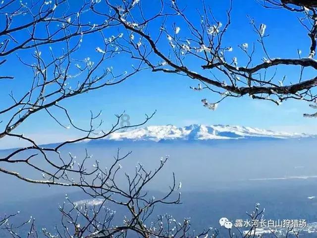 《仙剑四》开播,鞠婧祎陈哲远演技堪忧,还好意思争番位?