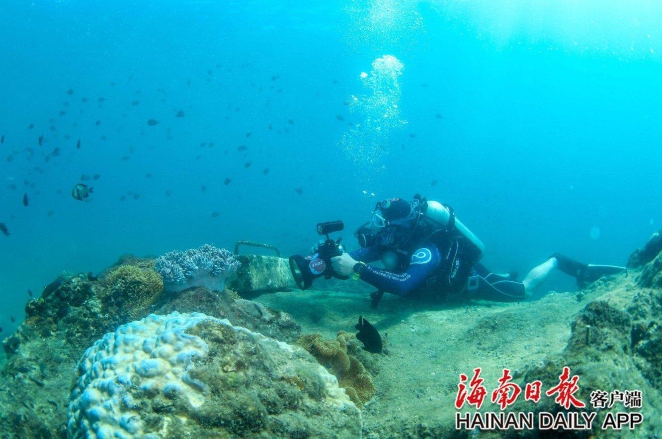 苹果园周边工作环境怎么样？上下班方面吗？乘车方便不？游戏画面